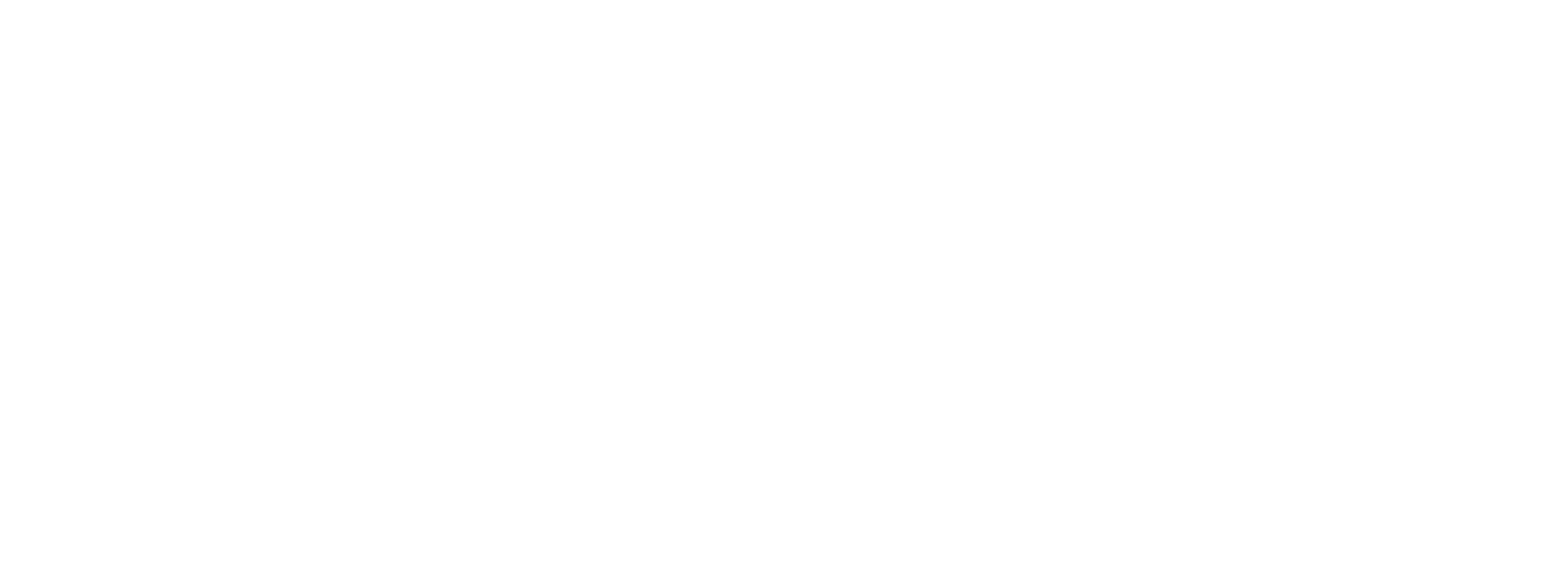 Champion Spirit